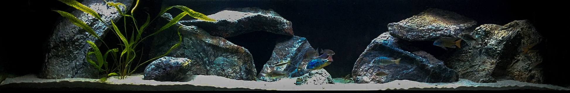 Malawi biotope aquarium with DreamTankRocks stones